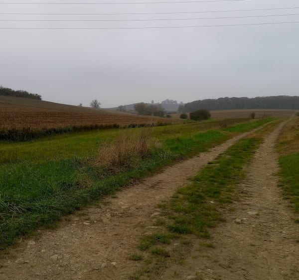 Balade dans la campagne de Villers-Stoncourt - Villers-Stoncourt - 1