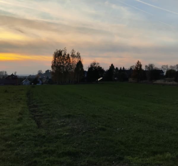 Libiąskie pola i panoramiczny widok na las - Libiąż - 1