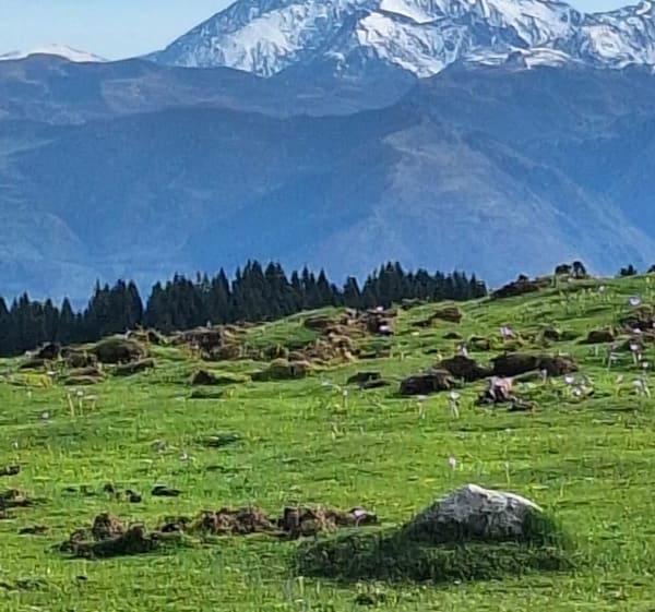 Du col de Couraduque par le Col de Bazès - Aucun - 1