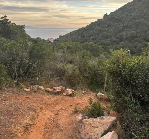 Balade  sur la crête - Ajaccio - 1