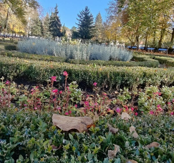 Solankowa Perła Uzdrowisk - Inowrocław - 1