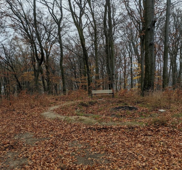 Park Ferberów w jesiennym klimacie - Gdańsk - 1
