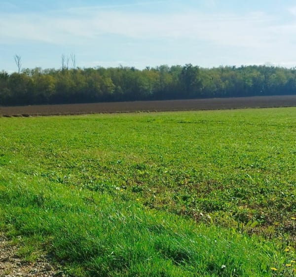 Balade dans les champs Saint Apo - Varois - Quetigny - Quetigny - 1