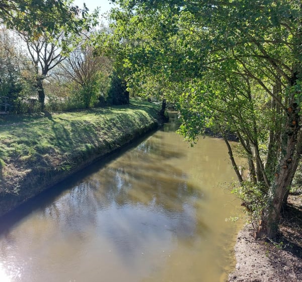 Boucle de la rigole de la plaine à Saint-Paulet - Saint-Paulet - 1