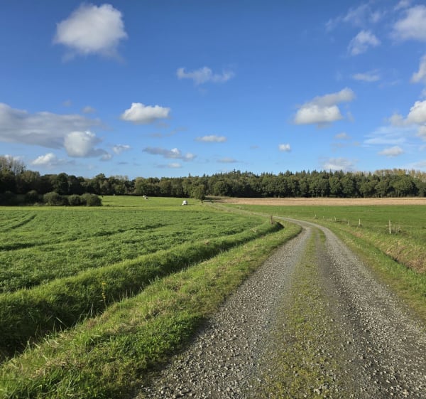 La Lande des Potiers de Lamballe - Lamballe-Armor - 1