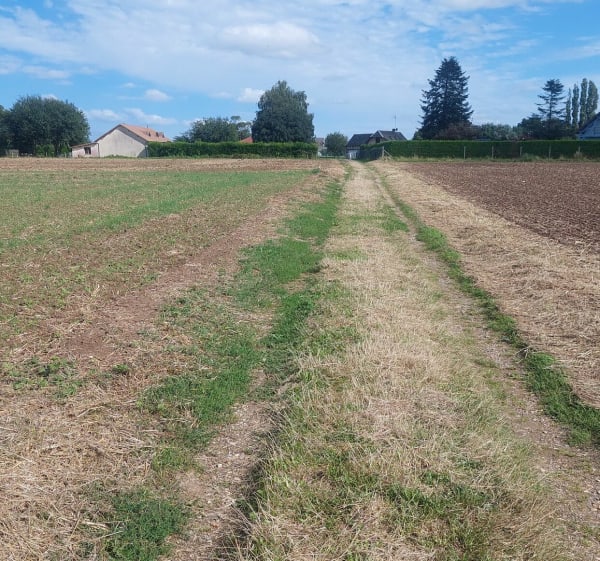 Randonnée à  travers la campagne amanfrevillaise - Amfreville-Saint-Amand - 1