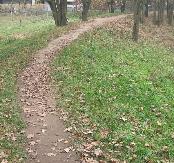 Park Świetlików i okolice - Wrocław - 1