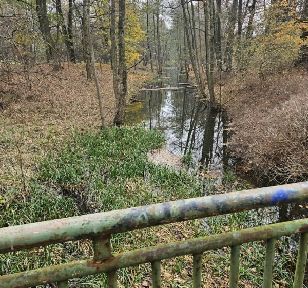 Piesza wyprawa przez stepy i lasy wzdłuż rwącej rzeki - Żędowice - 1