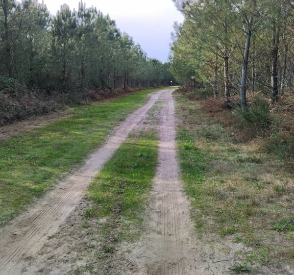 Balade le long du Redjons et dans la forêt communale Bégaar - Bégaar - 1