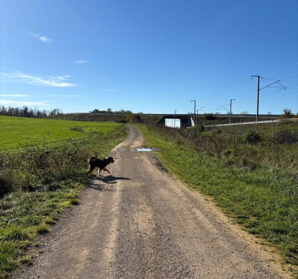 Forêt des souvenirs et Neuvelle-lès-Cromary - Chloé - 1