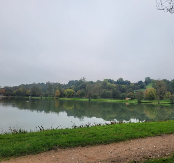 Boucle de Brûlons  au départ du plan d'eau - Brulon - 1