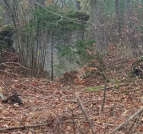 Mniej oczywiste fortyfikacje Trójkąta Lidzbarskie - Glebiska - 1