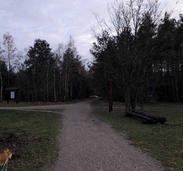 Trasa po lesie Lublinek - Łódź - 1