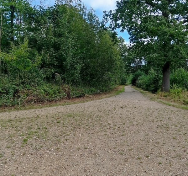 Petite balade à saint Leu la Forêt - Saint-Leu-la-Forêt - 1