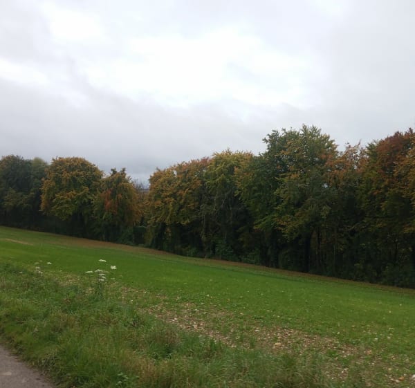 Balade à Douvrend - Douvrend - 1