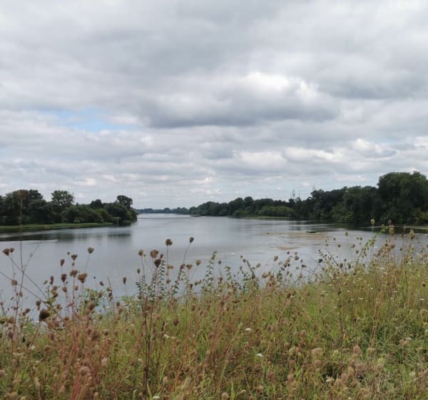 Entre Loire et Sologne depuis Saint Denis en Val - Saint-Denis-en-Val - 1