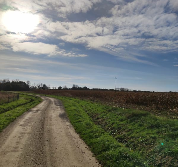 Moment tranquille à la campagne depuis les Raymondières - La Chapelle-Hermier - 1