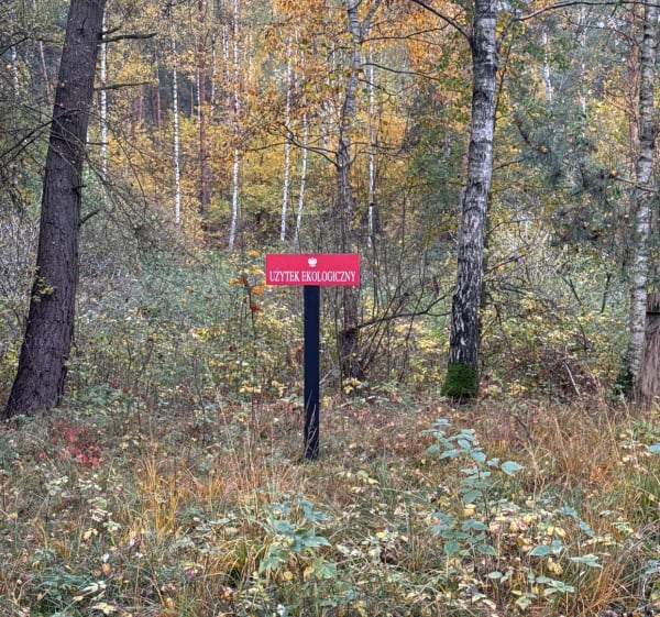 Pętla rezerwat przyrody Balczewo - Balczewo - 1