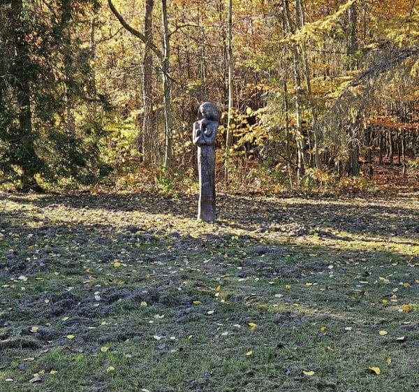 Katowicki Park Leśny - Katowice - 1