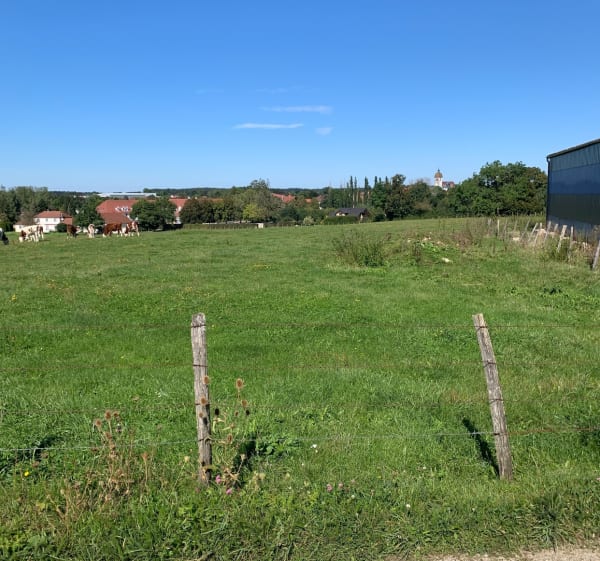 Tour des vaches à Vercel-Villedieu-le-Camp - Vercel-Villedieu-le-Camp - 1
