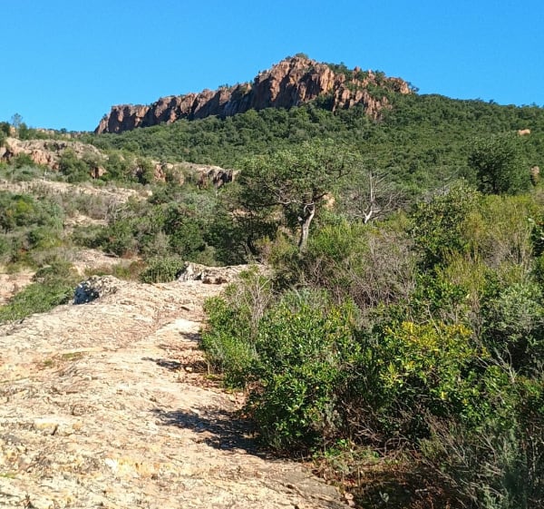 Entre Endre, collines et mer - La Motte - 1