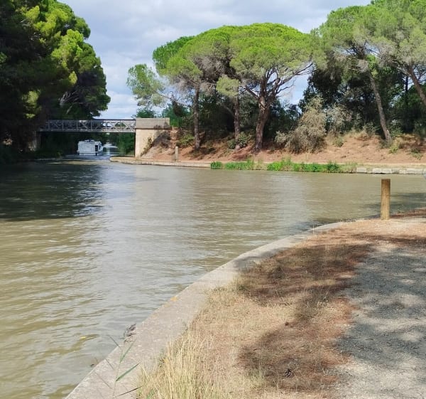 Le Somail, au canal de Jonction - Ginestas - 1