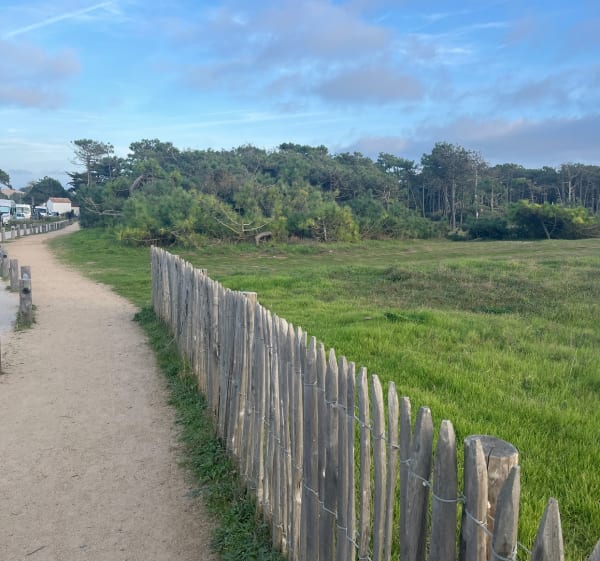De Brem aux dunes - Brem-sur-Mer - 1