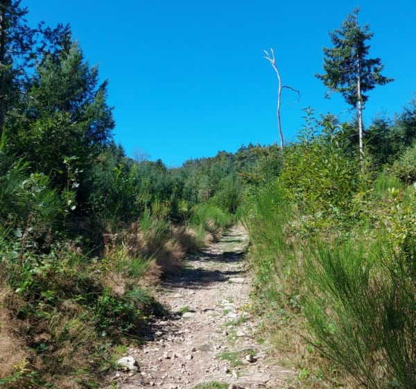 Tour du Mont Chonay - Deux-Grosnes - 1
