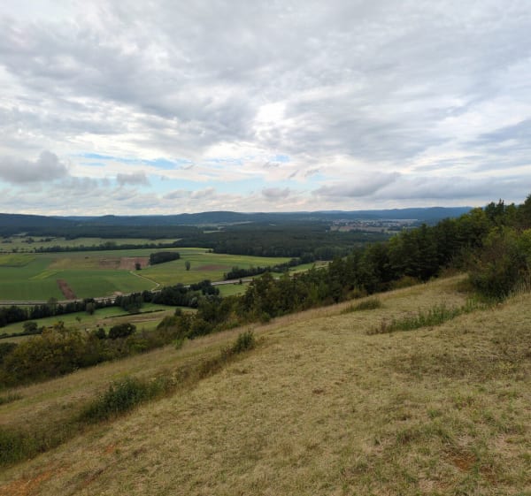Le sommet du Bastberg - Bouxwiller - 1