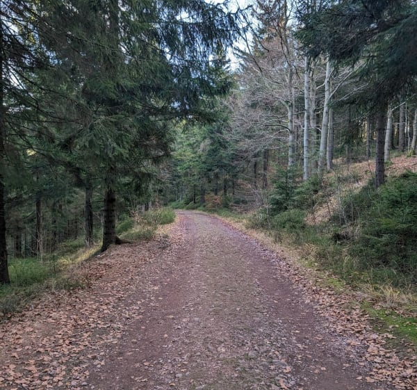 Waligóra 935m n.p.m. - Rybnica Leśna - 1