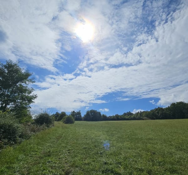 Marche autour de Bagnols - Bagnols - 1