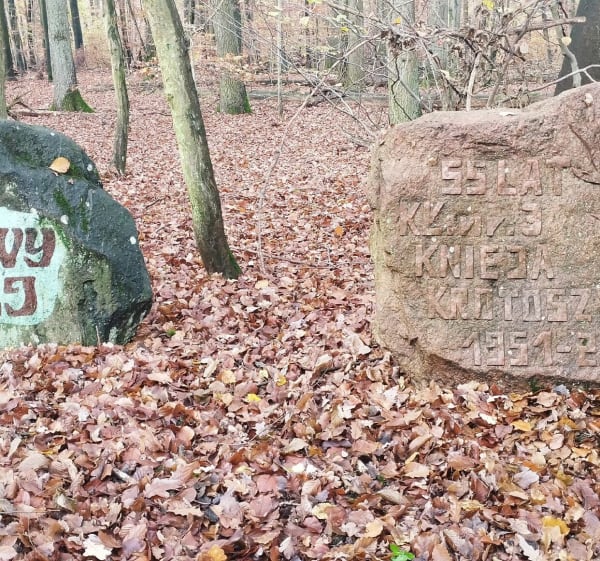 8 kilometrów lasem - Krotoszyn - 1
