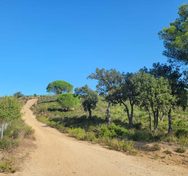 Sur les hauteurs de St-Aygulf - Fréjus - 1