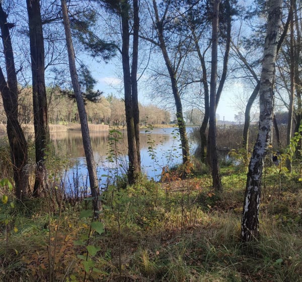 Piękna trasa rowerowa szlakiem rowerowym - Ostrów Wielkopolski - 1