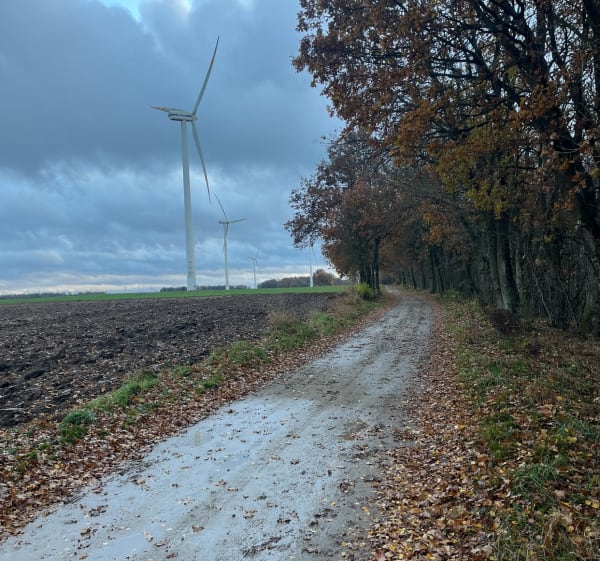 Kobylnickie Pole Wiatrakowe - Kobylnica - 1