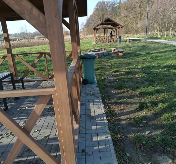 Droga nad stawy w Bedoniu - Łódź - 1