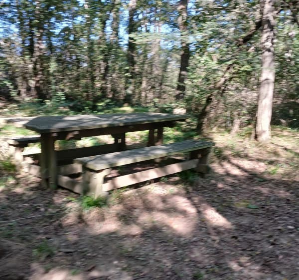 Balade le long de la Lèze - Labarthe-sur-Lèze - 1