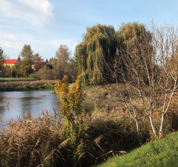 3 siłownie pod chmurką - Szczecin - 1