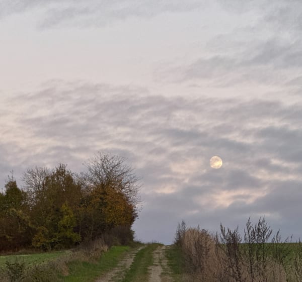 Chemin de randonnée en bord de champ et de Bois - Paroy - 1