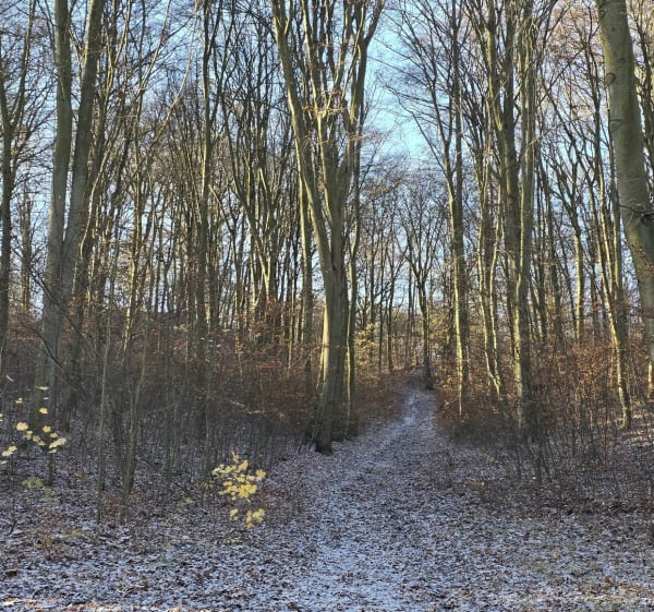 Pętla Gdańsk Maćkowy, Park Ferberów - Gdańsk - 1