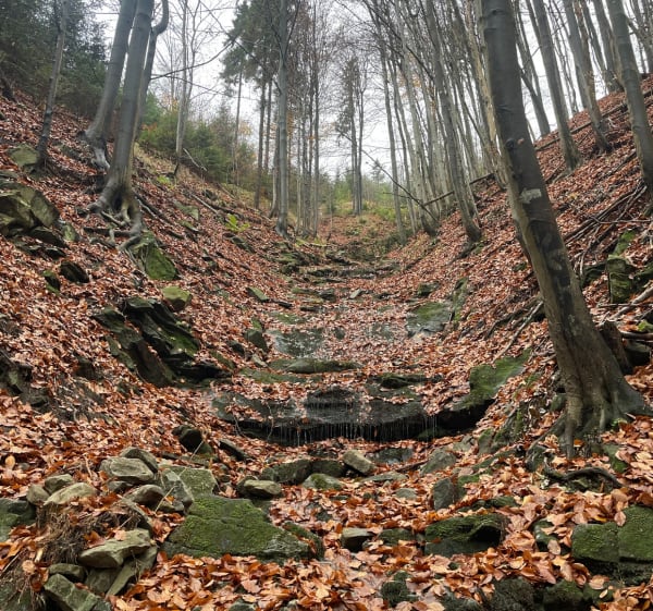 Błatnia szlakiem Harcerskim - Brenna - 1
