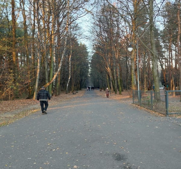 Malowniczy spacer wokoło stawku wedkarskiego - Sosnowiec - 1