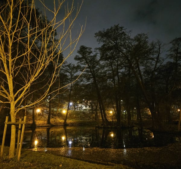 Ścieżka na Marymoncie - Warszawa - 1