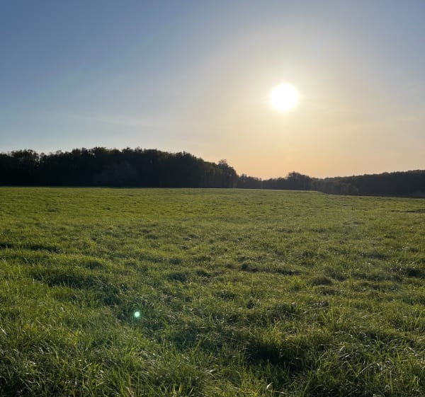 Balade à la Potière et Fenioux - Fenioux - 1