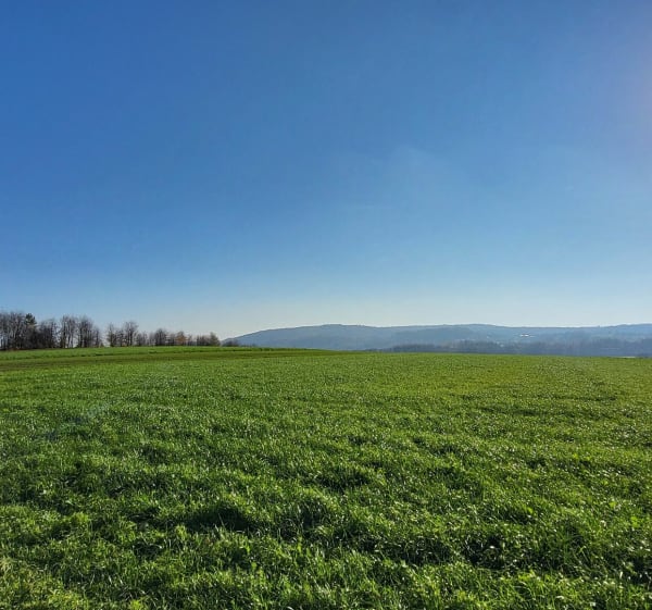 W cieniu samolotów - Rząska - 1