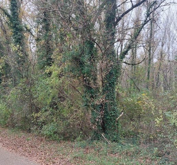 ViaRhona de la Roche-de-Glun à Vion - La Roche-de-Glun - 1