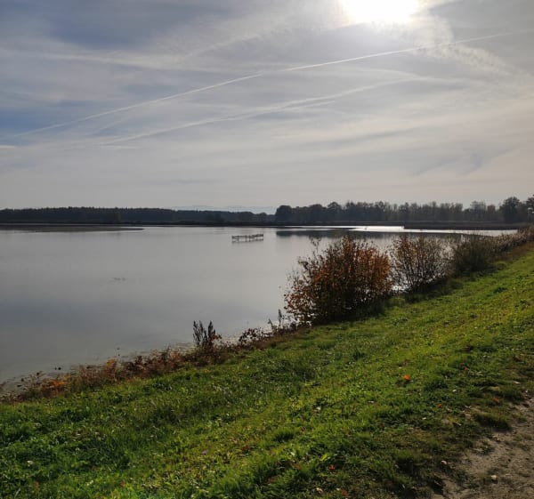Szlakiem natura nazieleńce - Harmęże - 1