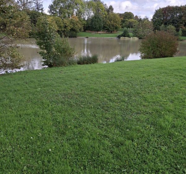 Découverte du Châtelet-en-Brie - Le Châtelet-en-Brie - 1