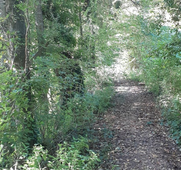 Marche autour de Sorbier - Sorbiers - 1