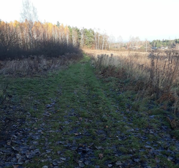 Spokojny spacer - Jaworzno - 1